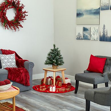 nearly natural 2-ft. Frosted Pine Pre-Lit Artificial Christmas Tree - Indoor