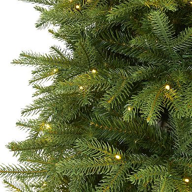 nearly natural 6.5-ft. Vancouver Fir Pre-Lit Artificial Christmas Tree ...