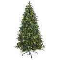 Christmas Trees
