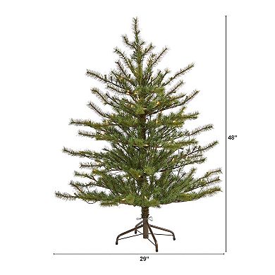 nearly natural 4-ft. Vancouver Mountain Pine Pre-Lit Artificial Christmas Tree - Indoor