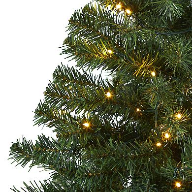 nearly natural 4-ft. Northern Tip Pine Pre-Lit Artificial Christmas Tree - Indoor