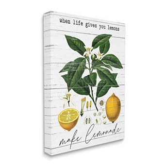 Stupell Home Decor Life Gives Lemons Canvas Wall Art