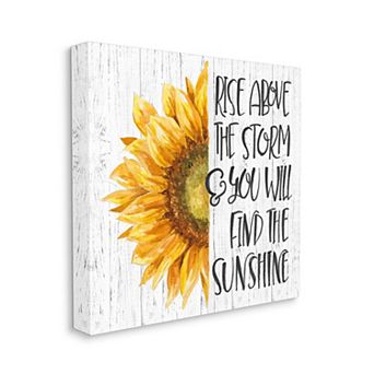 Stupell Home Decor Above Storm Find Sunshine Canvas Wall Art