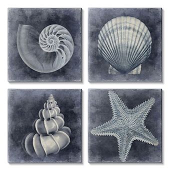 Stupell Home Decor Nautical Distressed Seashells Canvas Wall Art 4 pc Set