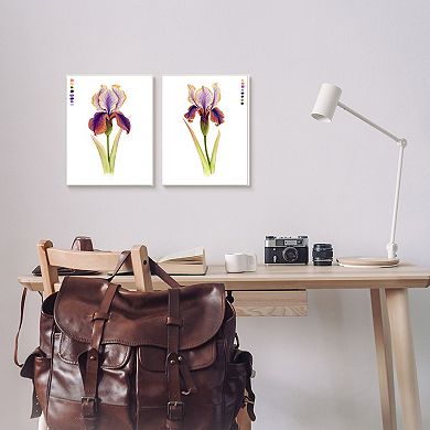 Stupell Home Decor Orange Purple Iris Flower Framed Wall Art 2-piece Set
