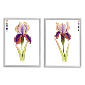 Stupell Home Decor Orange Purple Iris Flower Framed Wall Art 2 pc Set