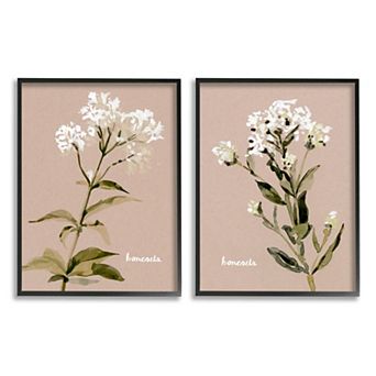 Stupell Home Decor Bonesets Flower Framed Wall Art 2 pc Set