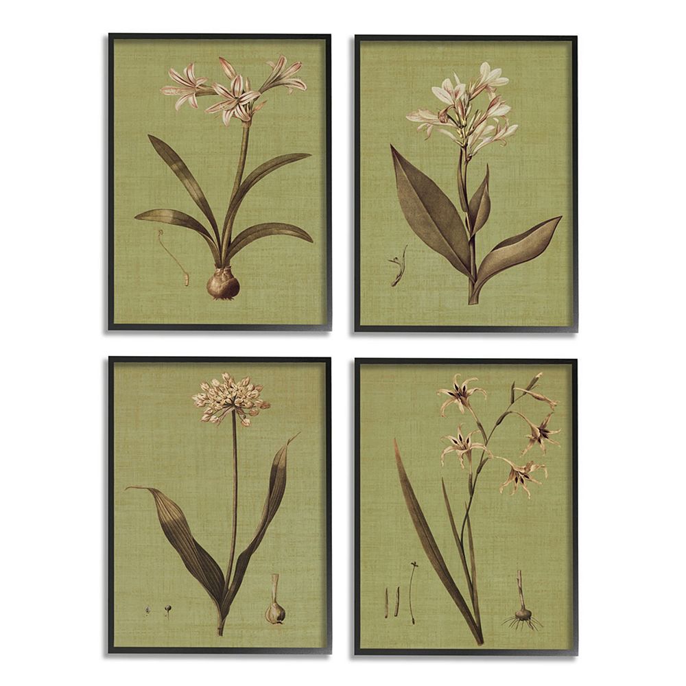 Stupell Home Decor Vintage Inspired Botanical Plant Framed Wall Art 4 ...
