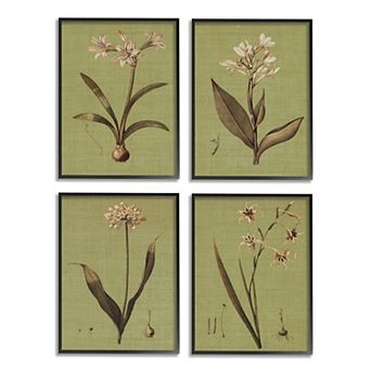 Stupell Home Decor Vintage Inspired Botanical Plant Framed Wall Art 4 pc Set