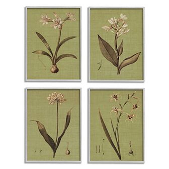 Stupell Home Decor Botanical Plant Framed Wall Art 4 pc Set