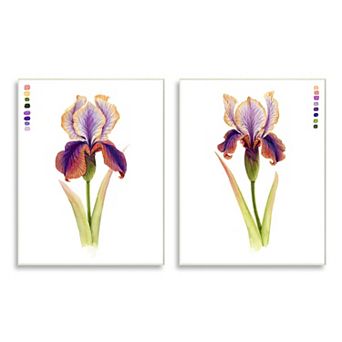 Stupell Home Decor Orange Purple Iris Flower Plaque Wall Art 2 pc Set
