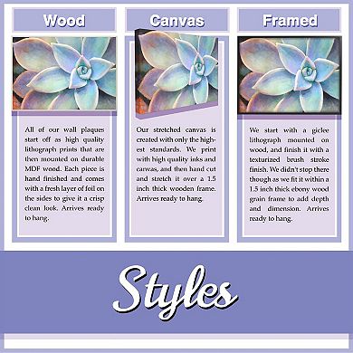 Stupell Home Decor Orange Purple Iris Flower Plaque Wall Art 2-piece Set