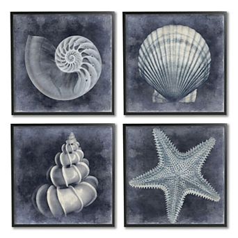 Stupell Home Decor Nautical Distressed Seashells Framed Wall Art 4 pc Set