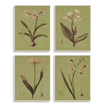 Stupell Home Decor Botanical Plant Plaque Wall Art 4 pc Set