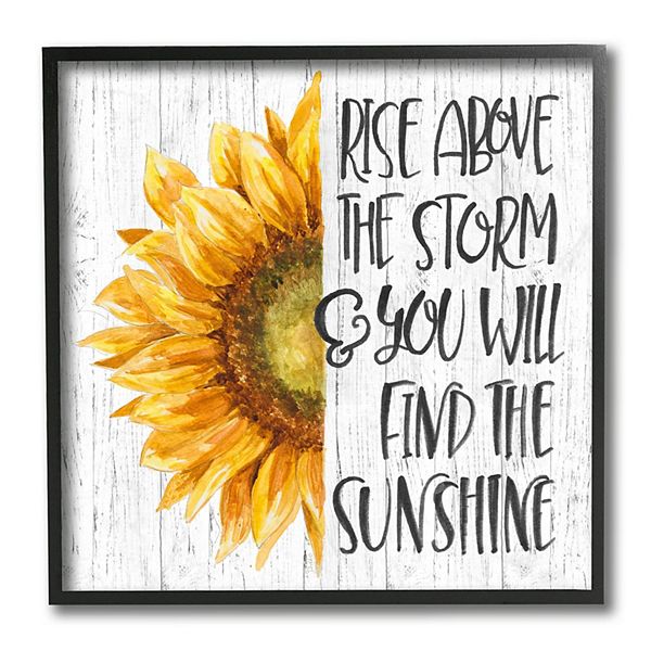 Stupell Home Decor Find Sunshine Sunflower Framed Wall Art