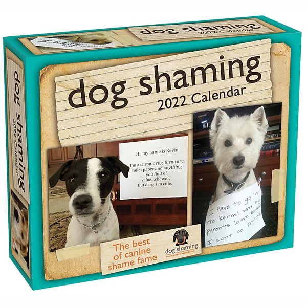 Dog Shaming 2022 Day-to-day Calendar