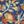 Navy Multicolor