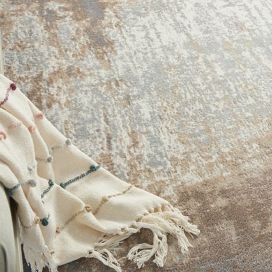 Nourison Elation Vintage Area Rug