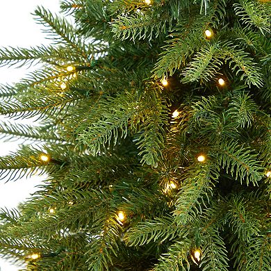 nearly natural 4.75-ft. Vancouver Fir 250-Light LED Artificial Christmas Tree