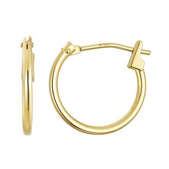 Taylor Grace 10k Gold 14 mm Polished Tube Hoop Earrings