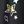Black Foil Stars