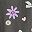 Dark Grey Icons