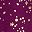Micro Star Berry