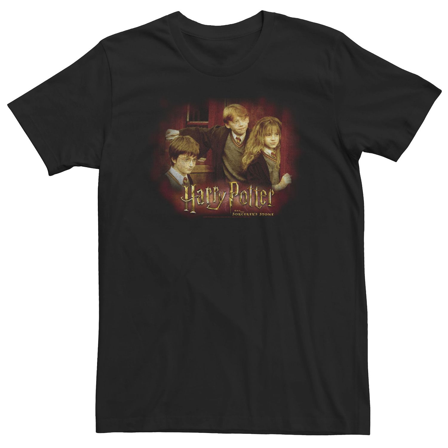Image for Harry Potter Big & Tall And The Sorcerer's Stone Group Shot Distressed Tee at Kohl's.