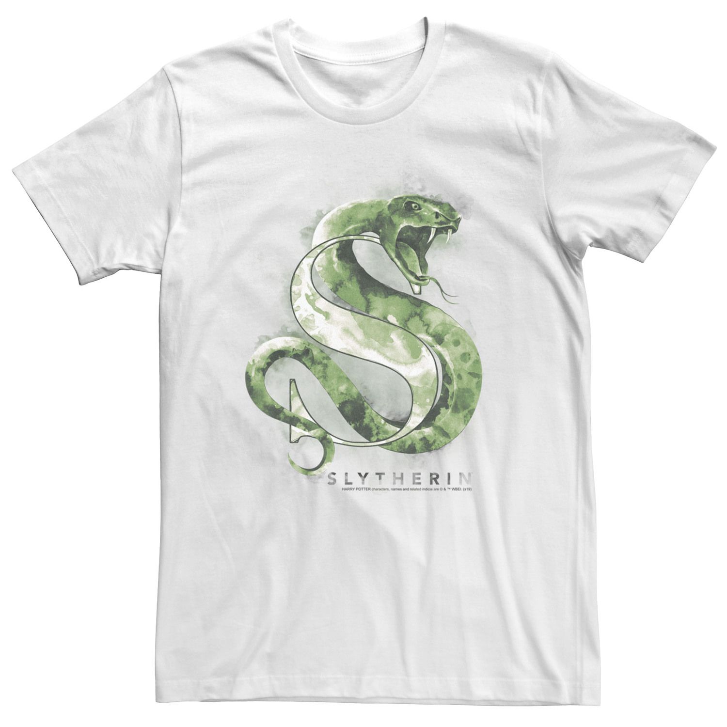 Image for Harry Potter Big & Tall Slytherin House Watercolor Tee at Kohl's.
