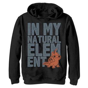 Disney's Frozen 2 Boys 8-20 Salamander In My Element Bold Text Hoodie