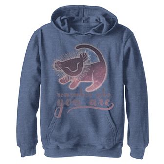 Disney's Lion King Boys 8-20 Simba Remember Painting Hoodie