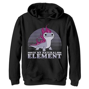 Boys 8-20 Disney Frozen 2 Bruni In My Natural Element Retro Lines Hoodie