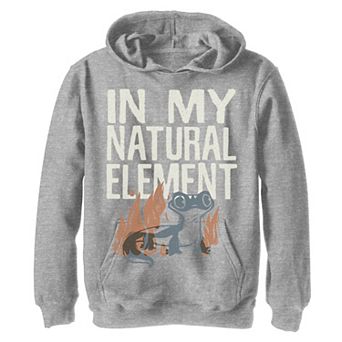 Disney's Frozen 2 Boys 8-20 Bruni In My Natural Element Hoodie