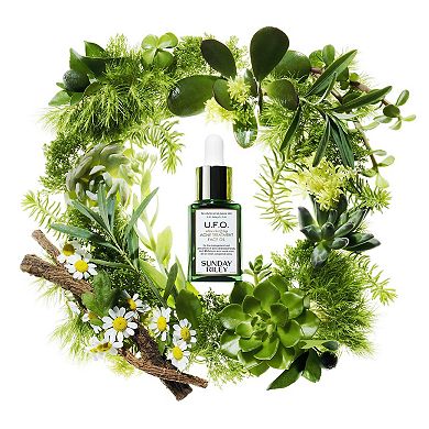 U.F.O. Salicylic Acid BHA Acne Treatment Face Oil