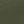 Forest Olive