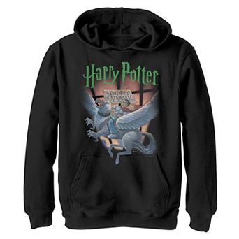 Boys 8-20 Harry Potter Book Cover Poster Graphic Fleece Hoodie