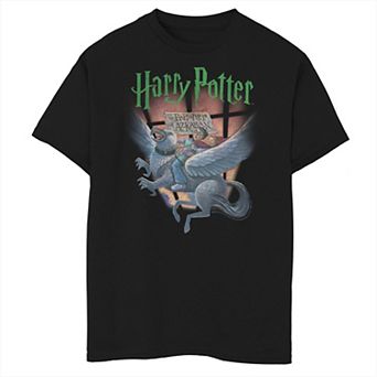 Boys 6-20 Harry Potter Book Cover Poster Graphic Tee