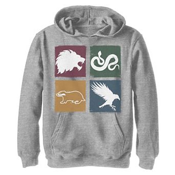 Boys 8-20 Harry Potter Simple House Crest Box Up Graphic Fleece Hoodie