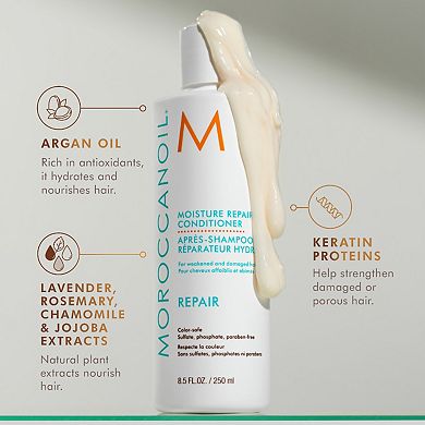 Mini Moisture Repair Conditioner