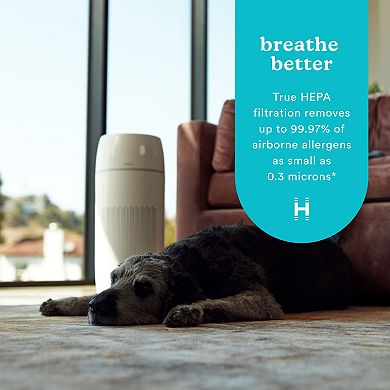 HoMedics PetPlus True Hepa Air Purifier with UV-C, Large Room
