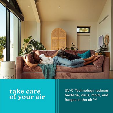 HoMedics PetPlus True Hepa Air Purifier with UV-C, Large Room
