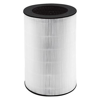HoMedics TotalClean Deluxe Replacement True Hepa Filter
