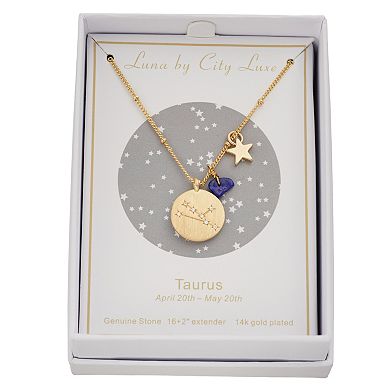 City Luxe Gold Tone Horoscope Cubic Zirconia Disk and Simulated Gemstone Charm Necklace 