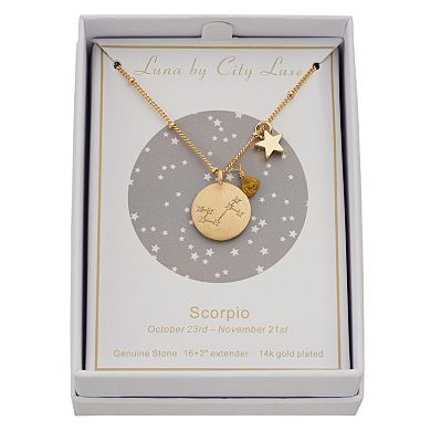 City Luxe Gold Tone Horoscope Cubic Zirconia Disk and Simulated Gemstone Charm Necklace