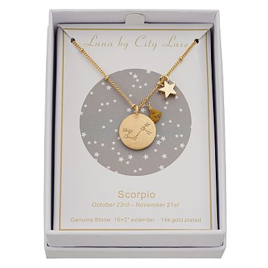 City Luxe Gold Tone Horoscope Cubic Zirconia Disk and Simulated Gemstone Charm Necklace 