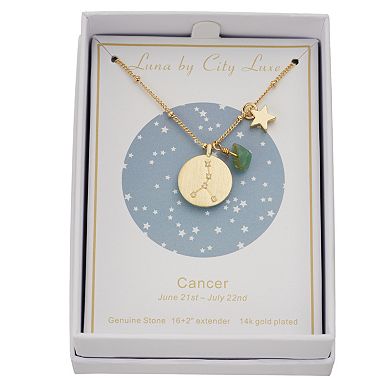 City Luxe Gold Tone Horoscope Cubic Zirconia Disk and Simulated Gemstone Charm Necklace 