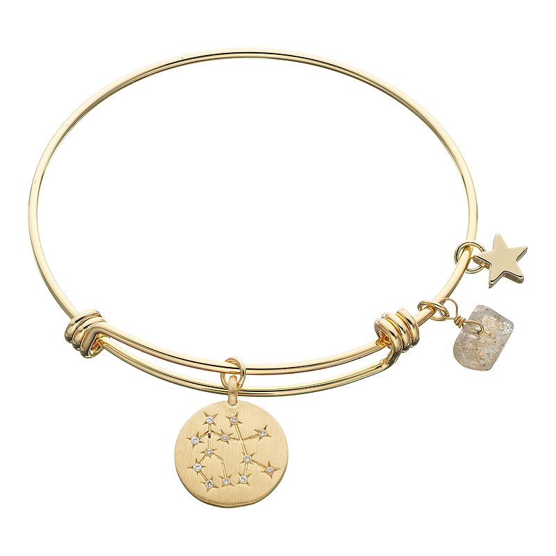 City Luxe Horoscope Cubic Zirconia Disk Bangle Bracelet with Genuine Stone 