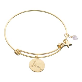 City Luxe Horoscope Cubic Zirconia Disk Bangle Bracelet with Genuine Stone & Star Charm