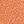 Wild One Burnt Orange