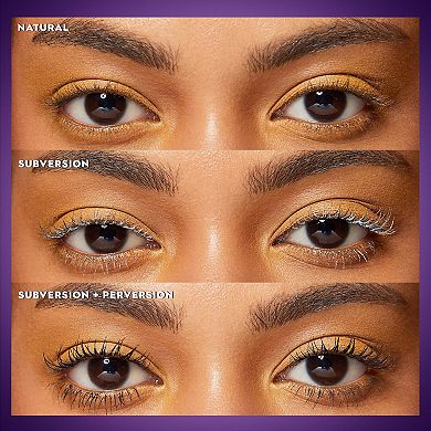 Subversion Lash Primer